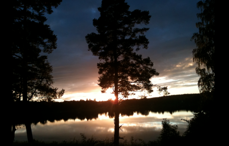 Tagen med mobilen. Tänk ändå. 