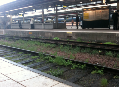 sthlm_central Se så fint det är på Centralen!